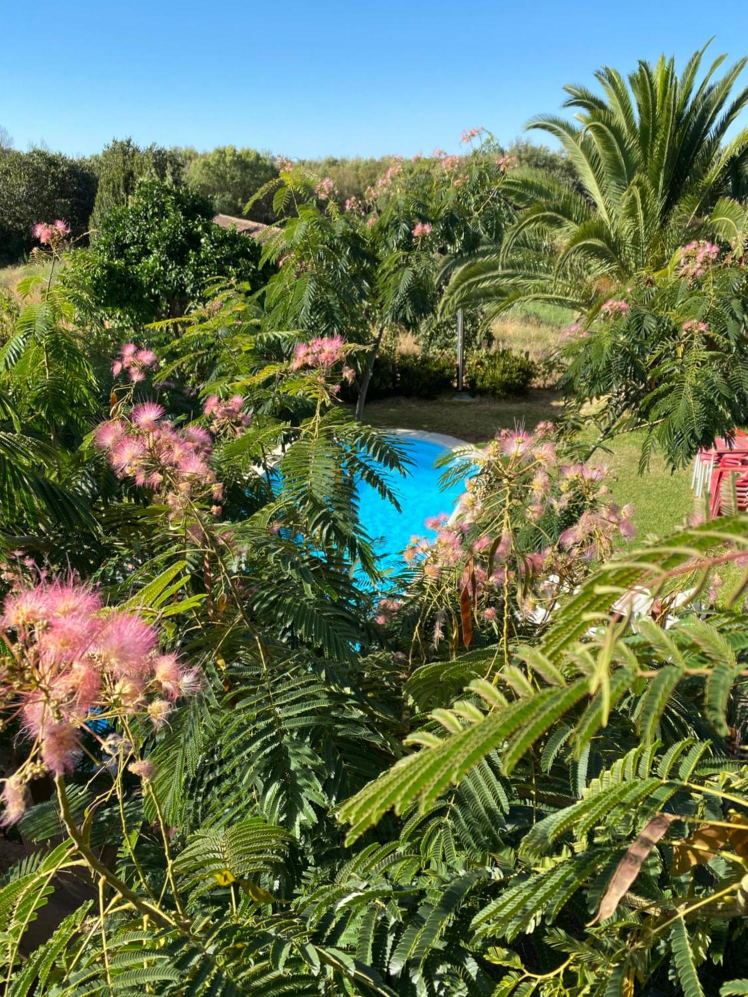 Higueras Y Olivos Villa Candeleda Eksteriør bilde